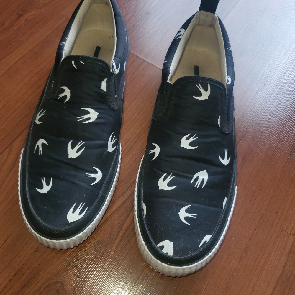 Mcq slides birds swallow